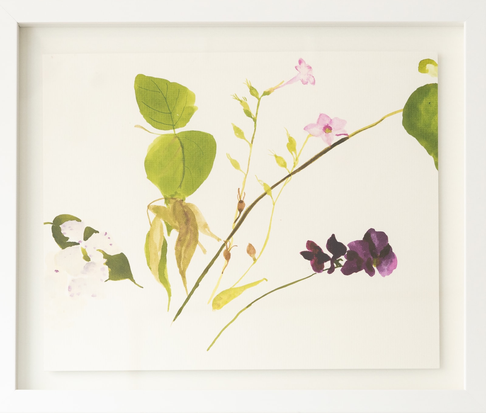 Nickie Carlyon, Flower Meditation No. 39, 2020